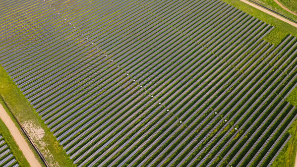 Parque solar fotovoltaico Tepuy
Parque solar fotovoltaico Tepuy
Fecha: 13, 14 Junio 2024
Para descargar esta fotografía en alta resolución, haga clic sobre la imagen hasta que la misma se despliegue en la pantalla completa; luego dé clic derecho y elija la opción "guardar imagen como". 
En caso de publicación por cualquier medio, solicitamos acompañarla del crédito: "Foto EPM"
Palabras clave: Parque solar fotovoltaico Tepuy