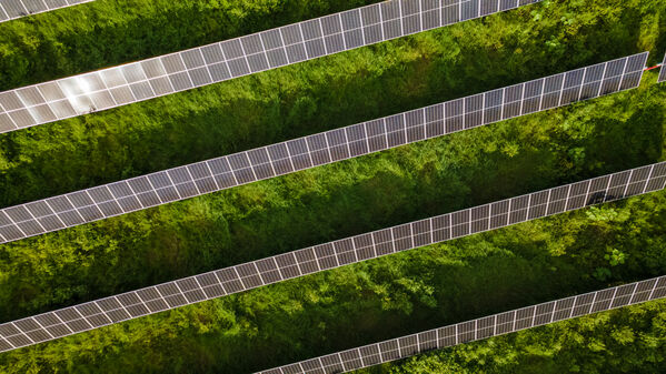 Parque solar fotovoltaico Tepuy
Parque solar fotovoltaico Tepuy
Fecha: 13, 14 Junio 2024
Para descargar esta fotografía en alta resolución, haga clic sobre la imagen hasta que la misma se despliegue en la pantalla completa; luego dé clic derecho y elija la opción "guardar imagen como". 
En caso de publicación por cualquier medio, solicitamos acompañarla del crédito: "Foto EPM"
Palabras clave: Parque solar fotovoltaico Tepuy