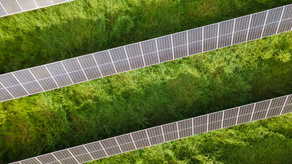 Parque solar fotovoltaico Tepuy
Parque solar fotovoltaico Tepuy
Fecha: 13, 14 Junio 2024
Para descargar esta fotografía en alta resolución, haga clic sobre la imagen hasta que la misma se despliegue en la pantalla completa; luego dé clic derecho y elija la opción "guardar imagen como". 
En caso de publicación por cualquier medio, solicitamos acompañarla del crédito: "Foto EPM"
Palabras clave: Parque solar fotovoltaico Tepuy