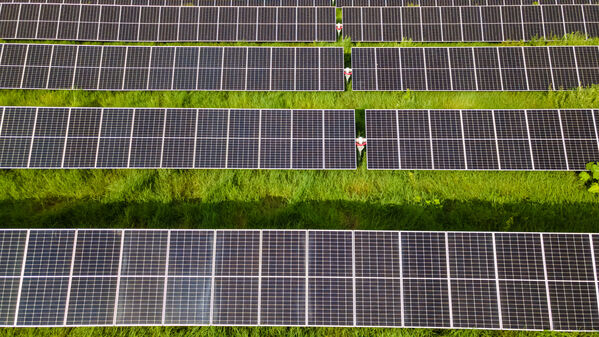 Parque solar fotovoltaico Tepuy
Parque solar fotovoltaico Tepuy
Fecha: 13, 14 Junio 2024
Para descargar esta fotografía en alta resolución, haga clic sobre la imagen hasta que la misma se despliegue en la pantalla completa; luego dé clic derecho y elija la opción "guardar imagen como". 
En caso de publicación por cualquier medio, solicitamos acompañarla del crédito: "Foto EPM"
Palabras clave: Parque solar fotovoltaico Tepuy