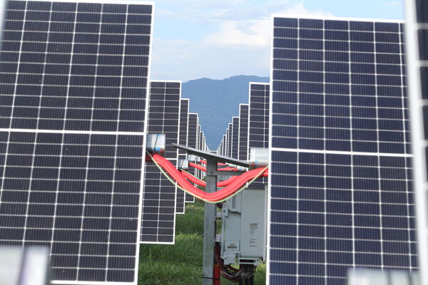 Parque solar fotovoltaico Tepuy
Parque solar fotovoltaico Tepuy
Fecha: 13, 14 Junio 2024
Para descargar esta fotografía en alta resolución, haga clic sobre la imagen hasta que la misma se despliegue en la pantalla completa; luego dé clic derecho y elija la opción "guardar imagen como". 
En caso de publicación por cualquier medio, solicitamos acompañarla del crédito: "Foto EPM"
Palabras clave: Parque solar fotovoltaico Tepuy