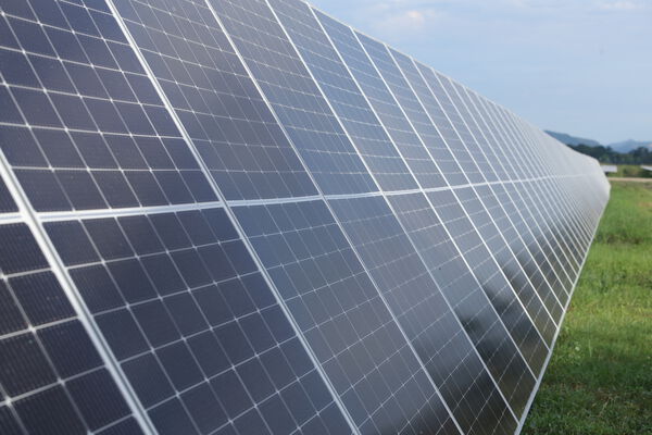 Parque solar fotovoltaico Tepuy
Parque solar fotovoltaico Tepuy
Fecha: 13, 14 Junio 2024
Para descargar esta fotografía en alta resolución, haga clic sobre la imagen hasta que la misma se despliegue en la pantalla completa; luego dé clic derecho y elija la opción "guardar imagen como". 
En caso de publicación por cualquier medio, solicitamos acompañarla del crédito: "Foto EPM"
Palabras clave: Parque solar fotovoltaico Tepuy