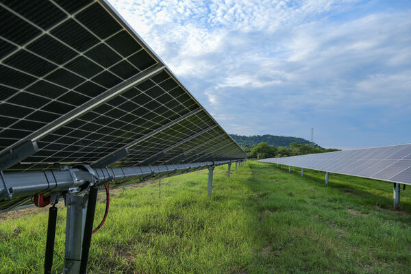 Parque solar fotovoltaico Tepuy
Parque solar fotovoltaico Tepuy
Fecha: 13, 14 Junio 2024
Para descargar esta fotografía en alta resolución, haga clic sobre la imagen hasta que la misma se despliegue en la pantalla completa; luego dé clic derecho y elija la opción "guardar imagen como". 
En caso de publicación por cualquier medio, solicitamos acompañarla del crédito: "Foto EPM"
Palabras clave: Parque solar fotovoltaico Tepuy