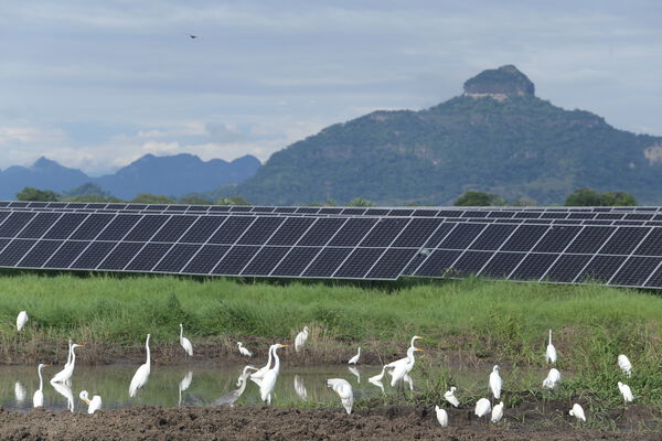 Parque solar fotovoltaico Tepuy
Parque solar fotovoltaico Tepuy
Fecha: 13, 14 Junio 2024
Para descargar esta fotografía en alta resolución, haga clic sobre la imagen hasta que la misma se despliegue en la pantalla completa; luego dé clic derecho y elija la opción "guardar imagen como". 
En caso de publicación por cualquier medio, solicitamos acompañarla del crédito: "Foto EPM"
Palabras clave: Parque solar fotovoltaico Tepuy