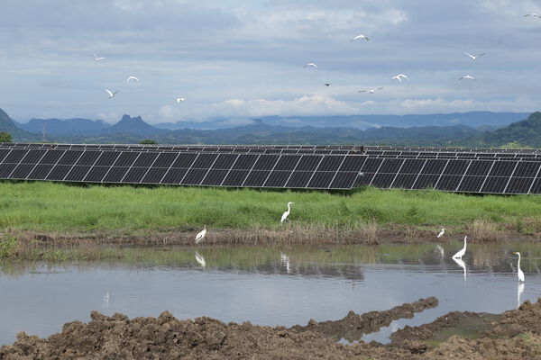 Parque solar fotovoltaico Tepuy
Parque solar fotovoltaico Tepuy
Fecha: 13, 14 Junio 2024
Para descargar esta fotografía en alta resolución, haga clic sobre la imagen hasta que la misma se despliegue en la pantalla completa; luego dé clic derecho y elija la opción "guardar imagen como". 
En caso de publicación por cualquier medio, solicitamos acompañarla del crédito: "Foto EPM"
Palabras clave: Parque solar fotovoltaico Tepuy