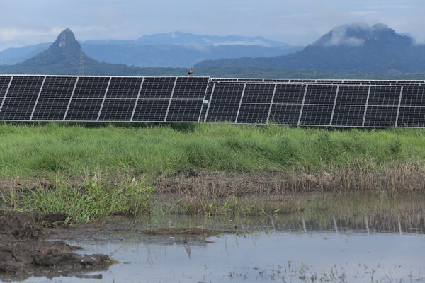 Parque solar fotovoltaico Tepuy
Parque solar fotovoltaico Tepuy
Fecha: 13, 14 Junio 2024
Para descargar esta fotografía en alta resolución, haga clic sobre la imagen hasta que la misma se despliegue en la pantalla completa; luego dé clic derecho y elija la opción "guardar imagen como". 
En caso de publicación por cualquier medio, solicitamos acompañarla del crédito: "Foto EPM"
Palabras clave: Parque solar fotovoltaico Tepuy