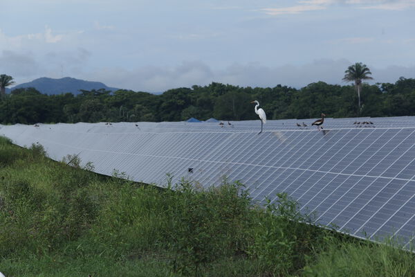 Parque solar fotovoltaico Tepuy
Parque solar fotovoltaico Tepuy
Fecha: 13, 14 Junio 2024
Para descargar esta fotografía en alta resolución, haga clic sobre la imagen hasta que la misma se despliegue en la pantalla completa; luego dé clic derecho y elija la opción "guardar imagen como". 
En caso de publicación por cualquier medio, solicitamos acompañarla del crédito: "Foto EPM"
Palabras clave: Parque solar fotovoltaico Tepuy