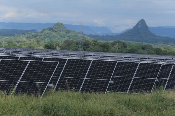 Parque solar fotovoltaico Tepuy
Parque solar fotovoltaico Tepuy
Fecha: 13, 14 Junio 2024
Para descargar esta fotografía en alta resolución, haga clic sobre la imagen hasta que la misma se despliegue en la pantalla completa; luego dé clic derecho y elija la opción "guardar imagen como". 
En caso de publicación por cualquier medio, solicitamos acompañarla del crédito: "Foto EPM"
Palabras clave: Parque solar fotovoltaico Tepuy
