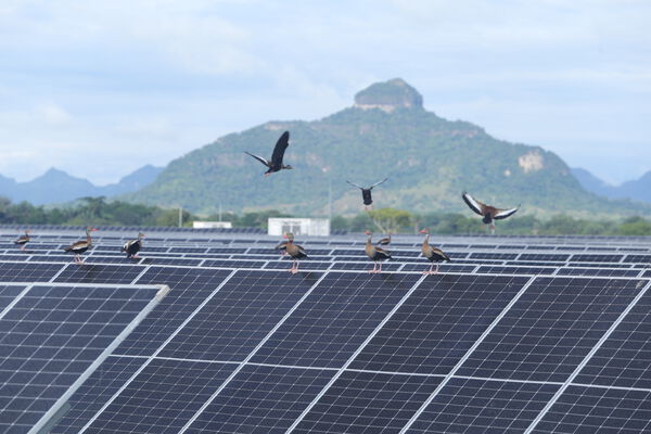 Parque solar fotovoltaico Tepuy
Parque solar fotovoltaico Tepuy
Fecha: 13, 14 Junio 2024
Para descargar esta fotografía en alta resolución, haga clic sobre la imagen hasta que la misma se despliegue en la pantalla completa; luego dé clic derecho y elija la opción "guardar imagen como". 
En caso de publicación por cualquier medio, solicitamos acompañarla del crédito: "Foto EPM"
Palabras clave: Parque solar fotovoltaico Tepuy