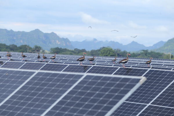 Parque solar fotovoltaico Tepuy
Parque solar fotovoltaico Tepuy
Fecha: 13, 14 Junio 2024
Para descargar esta fotografía en alta resolución, haga clic sobre la imagen hasta que la misma se despliegue en la pantalla completa; luego dé clic derecho y elija la opción "guardar imagen como". 
En caso de publicación por cualquier medio, solicitamos acompañarla del crédito: "Foto EPM"
Palabras clave: Parque solar fotovoltaico Tepuy