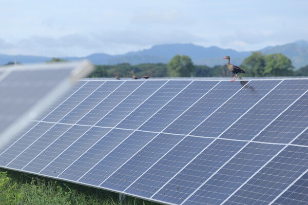 Parque solar fotovoltaico Tepuy
Parque solar fotovoltaico Tepuy
Fecha: 13, 14 Junio 2024
Para descargar esta fotografía en alta resolución, haga clic sobre la imagen hasta que la misma se despliegue en la pantalla completa; luego dé clic derecho y elija la opción "guardar imagen como". 
En caso de publicación por cualquier medio, solicitamos acompañarla del crédito: "Foto EPM"
Palabras clave: Parque solar fotovoltaico Tepuy