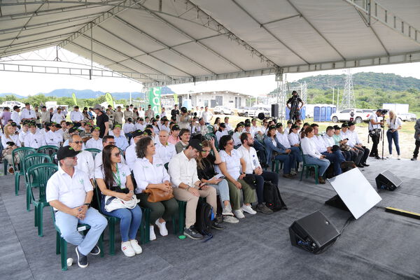 Parque solar fotovoltaico Tepuy
Parque solar fotovoltaico Tepuy
Fecha: 13, 14 Junio 2024
Para descargar esta fotografía en alta resolución, haga clic sobre la imagen hasta que la misma se despliegue en la pantalla completa; luego dé clic derecho y elija la opción "guardar imagen como". 
En caso de publicación por cualquier medio, solicitamos acompañarla del crédito: "Foto EPM"
Palabras clave: Parque solar fotovoltaico Tepuy
