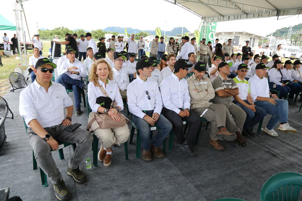 Parque solar fotovoltaico Tepuy
Parque solar fotovoltaico Tepuy
Fecha: 13, 14 Junio 2024
Para descargar esta fotografía en alta resolución, haga clic sobre la imagen hasta que la misma se despliegue en la pantalla completa; luego dé clic derecho y elija la opción "guardar imagen como". 
En caso de publicación por cualquier medio, solicitamos acompañarla del crédito: "Foto EPM"
Palabras clave: Parque solar fotovoltaico Tepuy