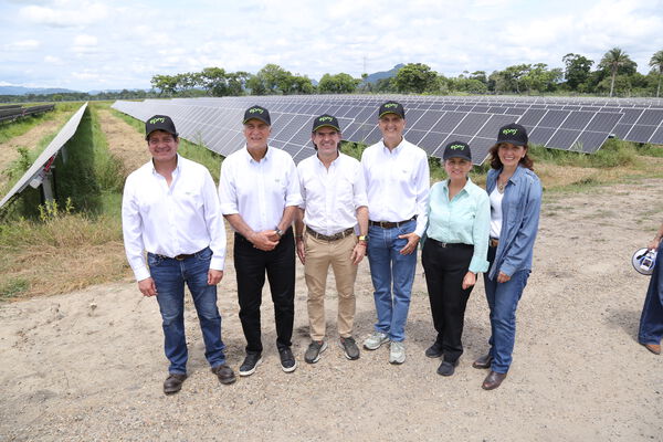 Parque solar fotovoltaico Tepuy
Parque solar fotovoltaico Tepuy
Fecha: 13, 14 Junio 2024
Para descargar esta fotografía en alta resolución, haga clic sobre la imagen hasta que la misma se despliegue en la pantalla completa; luego dé clic derecho y elija la opción "guardar imagen como". 
En caso de publicación por cualquier medio, solicitamos acompañarla del crédito: "Foto EPM"
Palabras clave: Parque solar fotovoltaico Tepuy