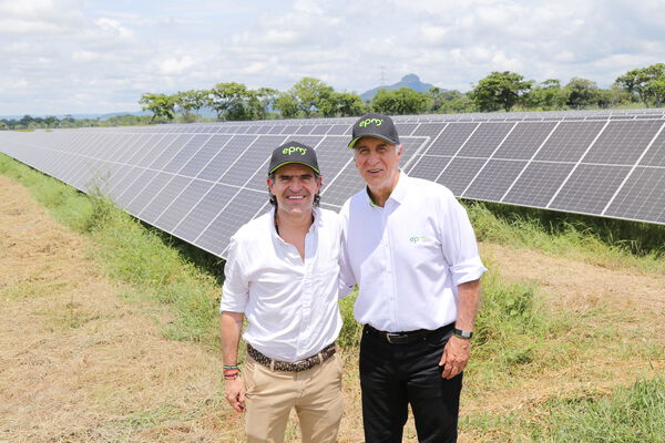 Parque solar fotovoltaico Tepuy
Parque solar fotovoltaico Tepuy
Fecha: 13, 14 Junio 2024
Para descargar esta fotografía en alta resolución, haga clic sobre la imagen hasta que la misma se despliegue en la pantalla completa; luego dé clic derecho y elija la opción "guardar imagen como". 
En caso de publicación por cualquier medio, solicitamos acompañarla del crédito: "Foto EPM"
Palabras clave: Parque solar fotovoltaico Tepuy