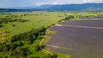 DJI_0185.jpg