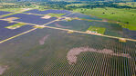 DJI_0187.jpg