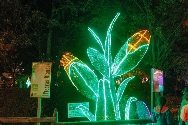 Encendido de Alumbrados Navideños en Copacabana 
Encendido de alumbrados Navideños Copacabana 
Fecha: Noviembre 30 de 2021
Para descargar esta fotografía en alta resolución, haga clic sobre la imagen hasta que la misma se despliegue en la pantalla completa; luego dé clic derecho y elija la opción "guardar imagen como". 
En caso de publicación por cualquier medio, solicitamos acompañarla del crédito: "Foto EPM"
Palabras clave: Encendido alumbrados Navideños Copacabana