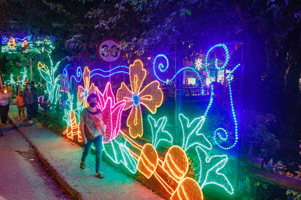 Encendido de Alumbrados Navideños en Copacabana 
Encendido de alumbrados Navideños Copacabana 
Fecha: Noviembre 30 de 2021
Para descargar esta fotografía en alta resolución, haga clic sobre la imagen hasta que la misma se despliegue en la pantalla completa; luego dé clic derecho y elija la opción "guardar imagen como". 
En caso de publicación por cualquier medio, solicitamos acompañarla del crédito: "Foto EPM"
Palabras clave: Encendido alumbrados Navideños Copacabana