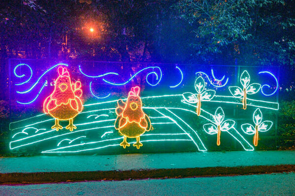 Encendido de Alumbrados Navideños en Copacabana 
Encendido de alumbrados Navideños Copacabana 
Fecha: Noviembre 30 de 2021
Para descargar esta fotografía en alta resolución, haga clic sobre la imagen hasta que la misma se despliegue en la pantalla completa; luego dé clic derecho y elija la opción "guardar imagen como". 
En caso de publicación por cualquier medio, solicitamos acompañarla del crédito: "Foto EPM"
Palabras clave: Encendido alumbrados Navideños Copacabana