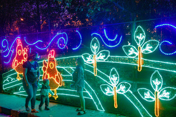 Encendido de Alumbrados Navideños en Copacabana 
Encendido de alumbrados Navideños Copacabana 
Fecha: Noviembre 30 de 2021
Para descargar esta fotografía en alta resolución, haga clic sobre la imagen hasta que la misma se despliegue en la pantalla completa; luego dé clic derecho y elija la opción "guardar imagen como". 
En caso de publicación por cualquier medio, solicitamos acompañarla del crédito: "Foto EPM"
Palabras clave: Encendido alumbrados Navideños Copacabana