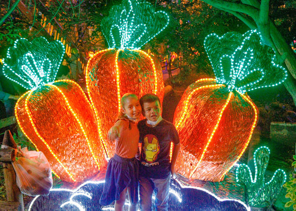 Encendido de Alumbrados Navideños en Copacabana 
Encendido de alumbrados Navideños Copacabana 
Fecha: Noviembre 30 de 2021
Para descargar esta fotografía en alta resolución, haga clic sobre la imagen hasta que la misma se despliegue en la pantalla completa; luego dé clic derecho y elija la opción "guardar imagen como". 
En caso de publicación por cualquier medio, solicitamos acompañarla del crédito: "Foto EPM"
Palabras clave: Encendido alumbrados Navideños Copacabana