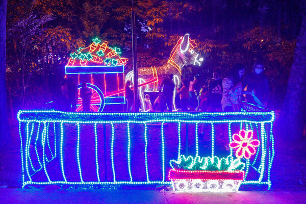 Encendido de Alumbrados Navideños en Copacabana 
Encendido de alumbrados Navideños Copacabana 
Fecha: Noviembre 30 de 2021
Para descargar esta fotografía en alta resolución, haga clic sobre la imagen hasta que la misma se despliegue en la pantalla completa; luego dé clic derecho y elija la opción "guardar imagen como". 
En caso de publicación por cualquier medio, solicitamos acompañarla del crédito: "Foto EPM"
Palabras clave: Encendido alumbrados Navideños Copacabana