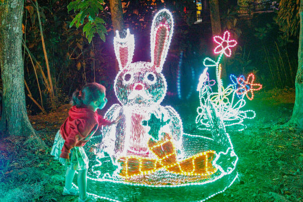 Encendido de Alumbrados Navideños en Copacabana 
Encendido de alumbrados Navideños Copacabana 
Fecha: Noviembre 30 de 2021
Para descargar esta fotografía en alta resolución, haga clic sobre la imagen hasta que la misma se despliegue en la pantalla completa; luego dé clic derecho y elija la opción "guardar imagen como". 
En caso de publicación por cualquier medio, solicitamos acompañarla del crédito: "Foto EPM"
Palabras clave: Encendido alumbrados Navideños Copacabana