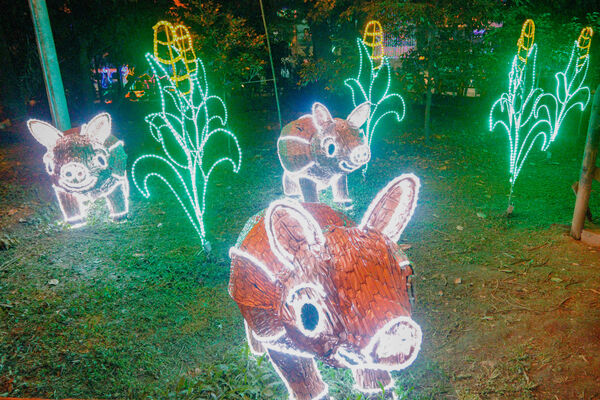 Encendido de Alumbrados Navideños en Copacabana 
Encendido de alumbrados Navideños Copacabana 
Fecha: Noviembre 30 de 2021
Para descargar esta fotografía en alta resolución, haga clic sobre la imagen hasta que la misma se despliegue en la pantalla completa; luego dé clic derecho y elija la opción "guardar imagen como". 
En caso de publicación por cualquier medio, solicitamos acompañarla del crédito: "Foto EPM"
Palabras clave: Encendido alumbrados Navideños Copacabana