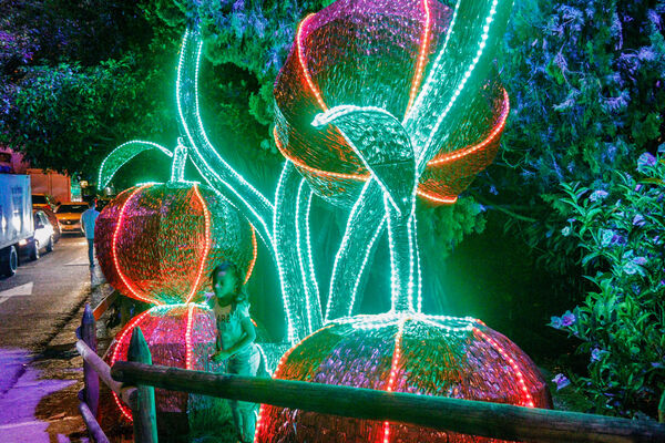 Encendido de Alumbrados Navideños en Copacabana 
Encendido de alumbrados Navideños Copacabana 
Fecha: Noviembre 30 de 2021
Para descargar esta fotografía en alta resolución, haga clic sobre la imagen hasta que la misma se despliegue en la pantalla completa; luego dé clic derecho y elija la opción "guardar imagen como". 
En caso de publicación por cualquier medio, solicitamos acompañarla del crédito: "Foto EPM"
Palabras clave: Encendido alumbrados Navideños Copacabana
