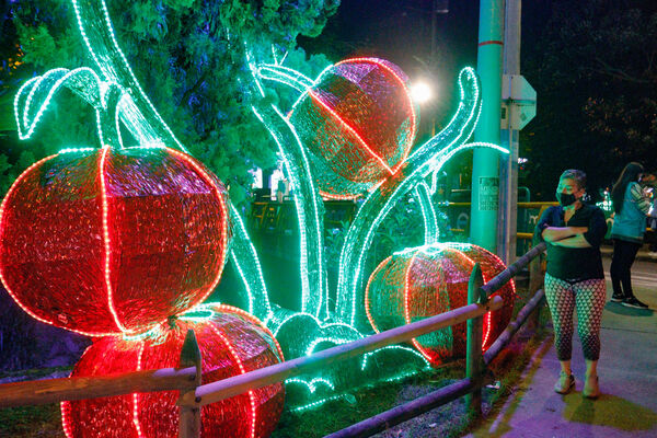 Encendido de Alumbrados Navideños en Copacabana 
Encendido de alumbrados Navideños Copacabana 
Fecha: Noviembre 30 de 2021
Para descargar esta fotografía en alta resolución, haga clic sobre la imagen hasta que la misma se despliegue en la pantalla completa; luego dé clic derecho y elija la opción "guardar imagen como". 
En caso de publicación por cualquier medio, solicitamos acompañarla del crédito: "Foto EPM"
Palabras clave: Encendido alumbrados Navideños Copacabana