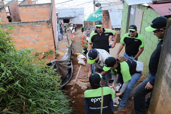 Brigada Comunitaria
Brigada Comunitaria
Fecha: Agosto 27 de 2016. Lugar: Barrio Carpinelo
Para descargar esta fotografía en alta resolución, haga clic sobre la imagen hasta que la misma se despliegue en la pantalla completa; luego dé clic derecho y elija la opción "guardar imagen como". 
En caso de publicación por cualquier medio, solicitamos acompañarla del crédito: "Foto EPM"
Palabras clave: Brigada Comunitaria