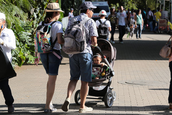 Día de la Familia 2015 
Día de la Familia 2015         
Fecha: Agosto 29 de 2015. Lugar: Medellín – Jardín Botánico y Parque Explora
Para descargar esta fotografía en alta resolución, haga clic sobre la imagen hasta que la misma se despliegue en la pantalla completa; luego dé clic derecho y elija la opción "guardar imagen como". 
En caso de publicación por cualquier medio, solicitamos acompañarla del crédito: "Foto EPM"
Palabras clave: Día Familia 2015