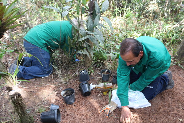 Alianza EPM Parque Arví 
Alianza EPM Parque Arví. 
Fecha: 5 Agosto 2020
Para descargar esta fotografía en alta resolución, haga clic sobre la imagen hasta que la misma se despliegue en la pantalla completa; luego dé clic derecho y elija la opción "guardar imagen como". 
En caso de publicación por cualquier medio, solicitamos acompañarla del crédito: "Foto EPM"
Palabras clave: Alianza EPM Parque Arví
