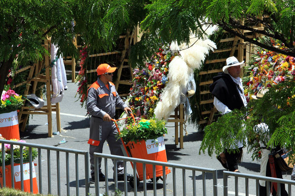 Desfile de silleteros
Desfile de silleteros
Fecha: Agosto 10 de 2014
Para descargar esta fotografía en alta resolución, haga clic sobre la imagen hasta que la misma se despliegue en la pantalla completa; luego dé clic derecho y elija la opción "guardar imagen como". 
En caso de publicación por cualquier medio, solicitamos acompañarla del crédito: "Foto EPM"
Palabras clave: Desfile silleteros