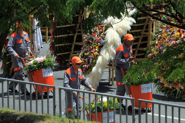 Desfile de silleteros
Desfile de silleteros
Fecha: Agosto 10 de 2014
Para descargar esta fotografía en alta resolución, haga clic sobre la imagen hasta que la misma se despliegue en la pantalla completa; luego dé clic derecho y elija la opción "guardar imagen como". 
En caso de publicación por cualquier medio, solicitamos acompañarla del crédito: "Foto EPM"
Palabras clave: Desfile silleteros