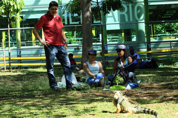 Día de la familia 2014 
Día de la familia 2014 
Fecha: Agosto 30 de 2014
Para descargar esta fotografía en alta resolución, haga clic sobre la imagen hasta que la misma se despliegue en la pantalla completa; luego dé clic derecho y elija la opción "guardar imagen como". 
En caso de publicación por cualquier medio, solicitamos acompañarla del crédito: "Foto EPM"
Keywords: Día familia 2014