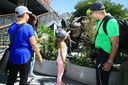 Filename=IMG_0340.JPG
Filesize=4945KiB
Dimensions=3200x2133
Date added=Aug 31, 2014 IMG_0340.JPG