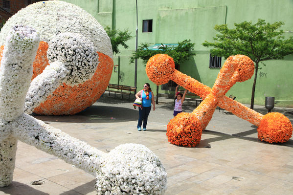 Gigantes de flores
Gigantes de flores
Fecha: Agosto 6 de 2013. 
Para descargar esta fotografía en alta resolución, haga clic sobre la imagen hasta que la misma se despliegue en la pantalla completa; luego dé clic derecho y elija la opción "guardar imagen como". 
En caso de publicación por cualquier medio, solicitamos acompañarla del crédito: "Cortesía EPM".
Palabras clave: Gigantes  flores catapiz Biblioteca España Santo Domingo