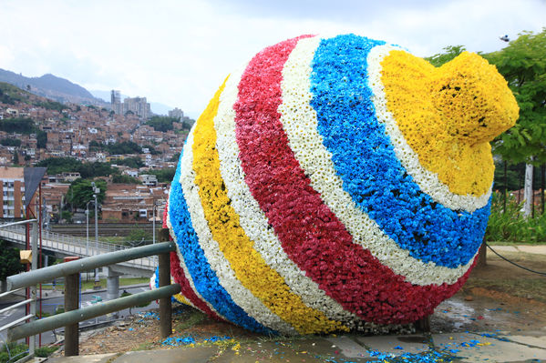 Gigantes de flores
Gigantes de flores
Fecha: Agosto 6 de 2013. 
Para descargar esta fotografía en alta resolución, haga clic sobre la imagen hasta que la misma se despliegue en la pantalla completa; luego dé clic derecho y elija la opción "guardar imagen como". 
En caso de publicación por cualquier medio, solicitamos acompañarla del crédito: "Cortesía EPM".
Palabras clave: Gigantes  flores Trompo San Javier