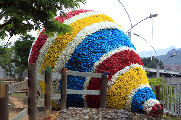 Gigantes de flores
Gigantes de flores
Fecha: Agosto 6 de 2013. 
Para descargar esta fotografía en alta resolución, haga clic sobre la imagen hasta que la misma se despliegue en la pantalla completa; luego dé clic derecho y elija la opción "guardar imagen como". 
En caso de publicación por cualquier medio, solicitamos acompañarla del crédito: "Cortesía EPM".
Palabras clave: Gigantes  flores Trompo San Javier