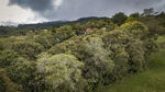 Filename=DJI_0149.jpg
Filesize=2403KiB
Dimensions=3992x2242
Date added=Aug 19, 2020 DJI_0149.jpg