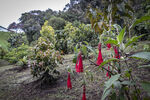 Filename=_MG_1824.jpg
Filesize=3247KiB
Dimensions=6000x4000
Date added=Aug 19, 2020 _MG_1824.jpg