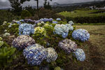 Filename=_MG_1847.jpg
Filesize=3493KiB
Dimensions=6000x4000
Date added=Aug 19, 2020 _MG_1847.jpg