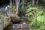 Filename=_MG_1918_1.jpg
Filesize=5466KiB
Dimensions=6000x4000
Date added=Aug 19, 2020 _MG_1918_1.jpg