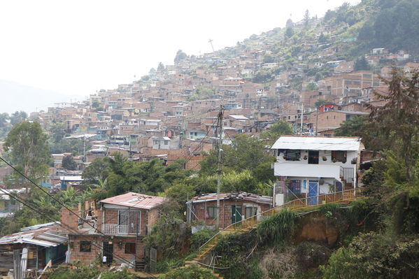 Unidos por el agua hace posible la llegada del agua potable para cientos de familias en el barrio Carambolas
Unidos por el agua hace posible la llegada del agua potable para cientos de familias en el barrio Carambolas
Fecha: Agosto 23 de 2017
Para descargar esta fotografía en alta resolución, haga clic sobre la imagen hasta que la misma se despliegue en la pantalla completa; luego dé clic derecho y elija la opción "guardar imagen como". 
En caso de publicación por cualquier medio, solicitamos acompañarla del crédito: "Foto EPM"
Palabras clave: Unidos por el agua hace posible la llegada del agua potable para cientos de familias en el barrio Carambolas