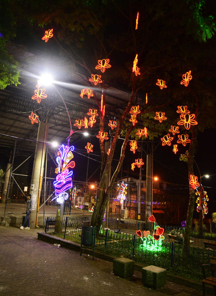 Alumbrado Navideño 2018 Parque Gaitan
Palabras clave: Alumbrado Navideño 2018 Parque Gaitan