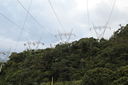 IMG_8375.JPG