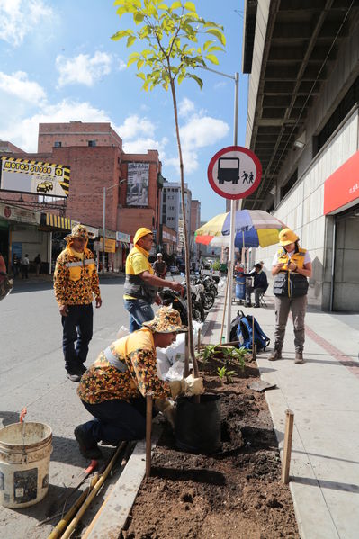 Acto simbólico de restauración y siembra – Centro Parrilla
Acto simbólico de restauración y siembra – Centro Parrilla
Fecha: Diciembre 4 de 2017
Para descargar esta fotografía en alta resolución, haga clic sobre la imagen hasta que la misma se despliegue en la pantalla completa; luego dé clic derecho y elija la opción "guardar imagen como". 
En caso de publicación por cualquier medio, solicitamos acompañarla del crédito: "Foto EPM"
Palabras clave: Acto simbólico de restauración y siembra – Centro Parrilla