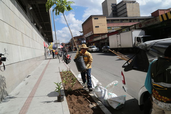 Acto simbólico de restauración y siembra – Centro Parrilla
Acto simbólico de restauración y siembra – Centro Parrilla
Fecha: Diciembre 4 de 2017
Para descargar esta fotografía en alta resolución, haga clic sobre la imagen hasta que la misma se despliegue en la pantalla completa; luego dé clic derecho y elija la opción "guardar imagen como". 
En caso de publicación por cualquier medio, solicitamos acompañarla del crédito: "Foto EPM"
Palabras clave: Acto simbólico de restauración y siembra – Centro Parrilla